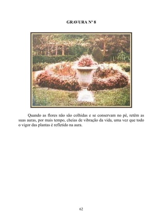 GRAVURA Nº 8




      Quando as flores não são colhidas e se conservam no pé, retêm as
suas auras, por mais tempo, cheias de vibração da vida, uma vez que todo
o vigor das plantas é refletido na aura.




                                  62
 