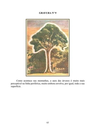 GRAVURA Nº 9




     Como acontece nas montanhas, a aura das árvores é muito mais
perceptível na linha periférica, muito embora envolva, por igual, toda a sua
superfície.




                                    63
 
