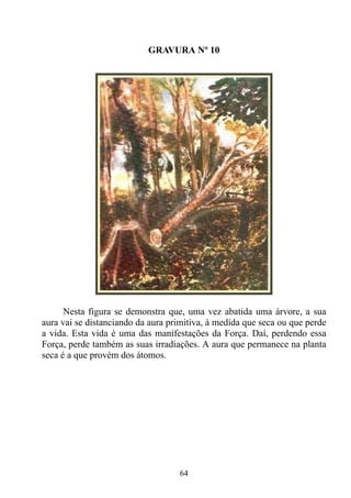 GRAVURA Nº 10




      Nesta figura se demonstra que, uma vez abatida uma árvore, a sua
aura vai se distanciando da aura primitiva, à medida que seca ou que perde
a vida. Esta vida é uma das manifestações da Força. Daí, perdendo essa
Força, perde também as suas irradiações. A aura que permanece na planta
seca é a que provém dos átomos.




                                   64
 