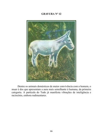 GRAVURA Nº 12




      Dentre os animais domésticos de maior convivência com o homem, o
muar é dos que apresentam a aura mais semelhante à humana, da primeira
categoria. A partícula do Todo já manifesta vibrações de inteligência e
raciocínio, embora rudimentares.




                                  66
 