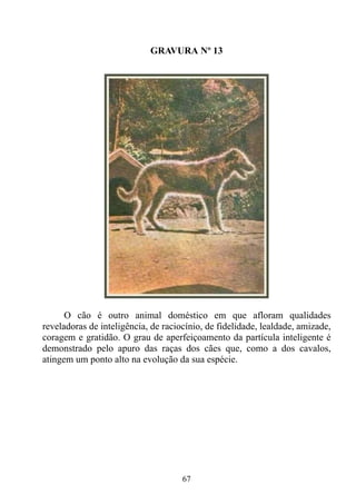 GRAVURA Nº 13




      O cão é outro animal doméstico em que afloram qualidades
reveladoras de inteligência, de raciocínio, de fidelidade, lealdade, amizade,
coragem e gratidão. O grau de aperfeiçoamento da partícula inteligente é
demonstrado pelo apuro das raças dos cães que, como a dos cavalos,
atingem um ponto alto na evolução da sua espécie.




                                     67
 