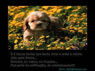 E é dessa forma que tento viver e levar a minha vida para frente...  Embora, às vezes, eu tropece... Faz parte da edificação, do crescimento!!!! [email_address]   