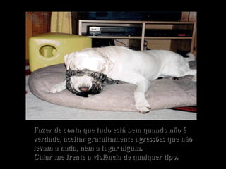 Fazer de conta que tudo está bem quando não é verdade, aceitar gratuitamente agressões que não levam a nada, nem a lugar algum. Calar-me frente a violência de qualquer tipo. 