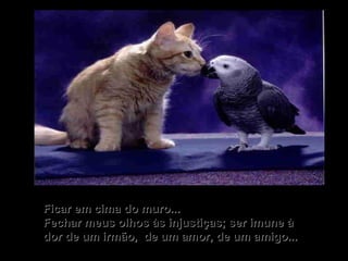 Ficar em cima do muro... Fechar meus olhos às injustiças; ser imune à dor de um irmão,  de um amor, de um amigo... 