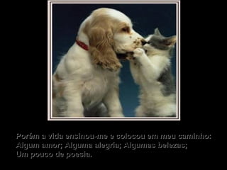Porém a vida ensinou-me e colocou em meu caminho: Algum amor; Alguma alegria; Algumas belezas; Um pouco de poesia. 