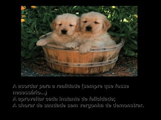 A acordar para a realidade (sempre que fosse necessário...) A aproveitar cada instante de felicidade; A chorar de saudade sem vergonha de demonstrar. 