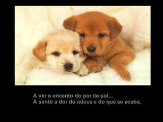 A ver o encanto do por do sol... A sentir a dor do adeus e do que se acaba, 