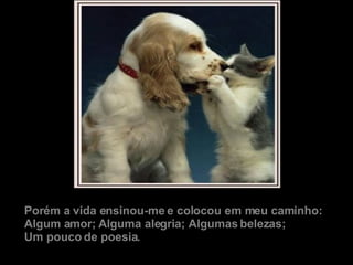 Porém a vida ensinou-me e colocou em meu caminho: Algum amor; Alguma alegria; Algumas belezas; Um pouco de poesia. 
