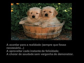 A acordar para a realidade (sempre que fosse necessário...) A aproveitar cada instante de felicidade; A chorar de saudade sem vergonha de demonstrar. 