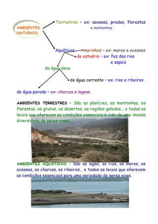 Terrestres – ex: savanas, prados, florestas
AMBIENTES
NATURAIS

e montanhas.

Aquáticos

marinhos – ex: mares e oceanos
de estuário – ex: foz dos rios
e sapais

de água doce
de água corrente – ex: rios e ribeiros
de água parada – ex: charcos e lagoas
AMBIENTES TERRESTRES – São as planícies, as montanhas, as

florestas, as grutas, os desertos, as regiões geladas… e todos os
locais que oferecem as condições essenciais à vida de uma imensa
diversidade de seres vivos.

AMBIENTES AQUÁTICOS – São os lagos, os rios, os mares, os

oceanos, os charcos, os ribeiros… e todos os locais que oferecem
as condições essenciais para uma variedade de seres vivos.

 