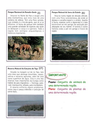 (1)

(6)

(17)

IMPORTANTE
Fauna: Conjunto de animais de
uma determinada região.
Flora: Conjunto de plantas de
uma determinada região.

 