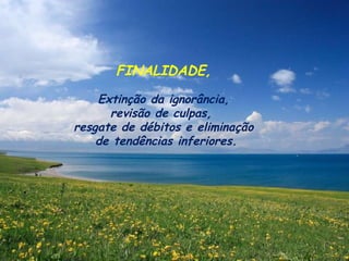FINALIDADE, Extinção da ignorância, revisão de culpas,  resgate de débitos e eliminação de tendências inferiores. 