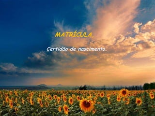 MATRÍCULA, Certidão de nascimento. 