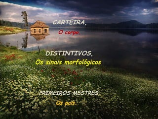 CARTEIRA, O corpo. DISTINTIVOS, Os sinais morfológicos . PRIMEIROS MESTRES, Os pais. 