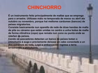 CHINCHORRO
É un instrumento feito principalmente de mallas que se emprega
para o arrastre. Utilízase máis na temporada de marzo ou abril ata
outubro ou novembro, porque hai mellores cardumes (bancos) de
peixes migratorios.
Consiste basicamente nun aparello de rede de dúas bandas de malla
de pita ou cánamo que están unidas no centro a unha bolsa de malla
de forma cilíndrica (copo) que remata nun cono ou punta onde se
reteñen os peixes.
Cando os pescadores detectan un banco de peixes botan o
chinchorro á auga e previamente deíxase un cabo conectado a un
dos extremos da rede. Logo a embarcación regresa a terra
arrastrando o chinchorro.
 