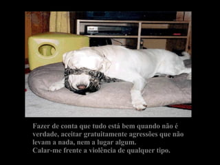 Fazer de conta que tudo está bem quando não é verdade, aceitar gratuitamente agressões que não levam a nada, nem a lugar algum. Calar-me frente a violência de qualquer tipo. 
