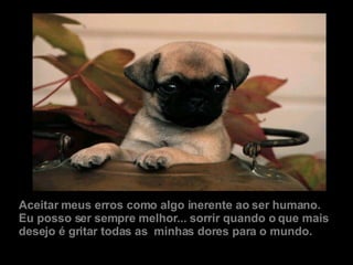 Aceitar meus erros como algo inerente ao ser humano.  Eu posso ser sempre melhor... sorrir quando o que mais desejo é gritar todas as  minhas dores para o mundo. 