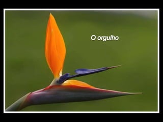 A vida norma_helena