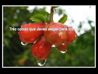 A vida norma_helena