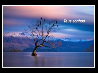 A vida norma_helena