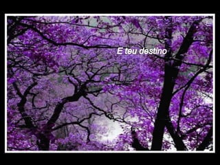 A vida norma_helena