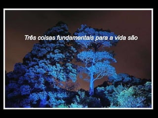 A vida norma_helena