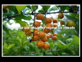 A vida norma_helena