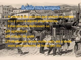• A maioria das pessoas que viviam no campo
era o povo e alguns proprietários.
• Estas pessoas dedicavam-se:
Á agricultura
Á criação de gado
Trabalhavam desde muito cedo até á tarde
mais precisamente 16 horas por dia.
 