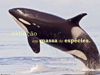 ...extinção   em   massa  de  espécies. 