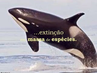 ...extinção
em   massa de espécies.
 