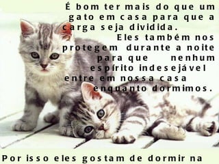 É bom ter mais do que um gato em casa para que a carga seja dividida.  Eles também nos protegem  durante a noite para que  nenhum espírito indesejável  entre em nossa casa  enquanto dormimos.  Por isso eles gostam de dormir na nossa cama. 