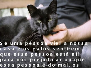 Se uma pessoa vier a nossa casa e os gatos sentirem que essa pessoa está ali para nos prejudicar ou que essa pessoa é do mal, os gatos nos circundarão para nos proteger   
