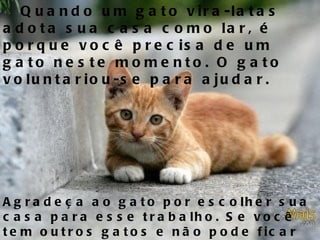 Quando um gato vira-latas adota sua casa como lar, é porque você precisa de um gato neste momento. O gato voluntariou-se para ajudar.   Agradeça ao gato por escolher sua casa para esse trabalho. Se você tem outros gatos e não pode ficar com ele, encontre um lar para ele.   