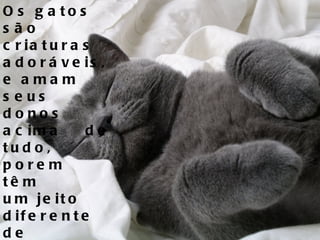 Os gatos são criaturas adoráveis,e amam seus  donos acima  de tudo,  porem  têm  um jeito diferente de amar...mas nem por isso deixa de ser verdadeiro. 
