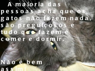 A maioria das pessoas acha que os gatos não fazem nada, são preguiçosos e tudo que fazem é comer e dormir. Não é bem assim!   
