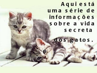 Aqui está uma série de informações sobre a vida secreta  dos gatos.  