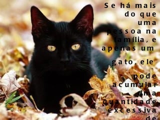 Se há mais do que uma pessoa na família, e apenas um  gato, ele  pode acumular uma quantidade excessiva de negatividade ao absorver energia de tantas pessoas.   