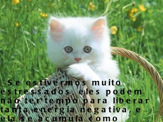 Se estivermos muito estressados, eles podem não ter tempo para liberar tanta energia negativa, e ela se acumula como gordura até que eles possam liberá-la. 
