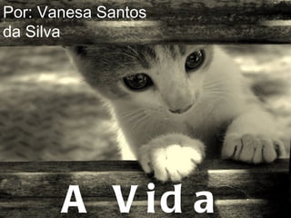 A Vida Secreta dos Gatos Por: Vanesa Santos da Silva 