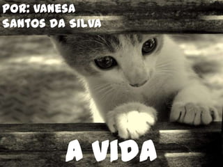 Por: Vanesa Santos da Silva A Vida Secreta dos Gatos 