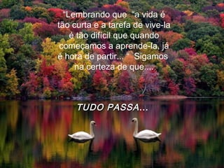 “Lembrando que “a vida é
tão curta e a tarefa de vive-la
é tão difícil que quando
começamos a aprende-la, já
é hora de partir... “ Sigamos
na certeza de que....
TUDO PASSATUDO PASSA...
 