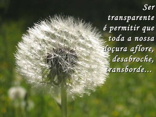 SerSer
transparentetransparente
é permitir queé permitir que
toda a nossatoda a nossa
doçura aflore,doçura aflore,
desabroche,desabroche,
transborde...transborde...
 