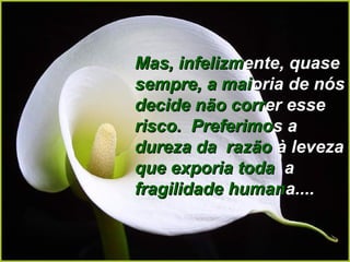 Mas, infelizmMas, infelizmente, quaseente, quase
sempre, a maisempre, a maioriaoria de nósde nós
decide não corrdecide não correrer esseesse
risco. Preferimorisco. Preferimoss aa
dureza da razãodureza da razão àà levezaleveza
que exporia todaque exporia toda aa
fragilidade humanfragilidade humana....a....
 