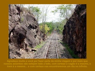 Agradeço muito a você por fazer parte da minha viagem e por mais que nossos assentos não estejam lado a lado, com certeza o vagão é o mesmo, o trem é o mesmo... e com certeza nos encontraremos um dia no infinito. 