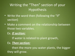 Writing the “Then” section of your
               Hypothesis
• Write the word then (following the “if”
  section)
• Make a comment on the relationship between
  those two variables.
  Ex. If section:
      If water is related to plant growth,
  Ex. Then section:
      then the more you water plants, the bigger
  they will grow.
 