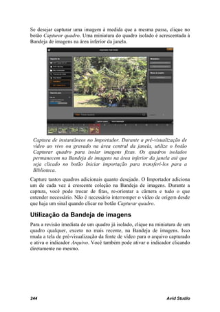 Se desejar capturar uma imagem à medida que a mesma passa, clique no
botão Capturar quadro. Uma miniatura do quadro isolado é acrescentada à
Bandeja de imagens na área inferior da janela.




 Captura de instantâneos no Importador. Durante a pré-visualização de
 vídeo ao vivo ou gravado na área central da janela, utilize o botão
 Capturar quadro para isolar imagens fixas. Os quadros isolados
 permanecem na Bandeja de imagens na área inferior da janela até que
 seja clicado no botão Iniciar importação para transferi-los para a
 Biblioteca.
Capture tantos quadros adicionais quanto desejado. O Importador adiciona
um de cada vez à crescente coleção na Bandeja de imagens. Durante a
captura, você pode trocar de fitas, re-orientar a câmera e tudo o que
entender necessário. Não é necessário interromper o vídeo de origem desde
que haja um sinal quando clicar no botão Capturar quadro.

Utilização da Bandeja de imagens
Para a revisão imediata de um quadro já isolado, clique na miniatura de um
quadro qualquer, exceto no mais recente, na Bandeja de imagens. Isso
muda a tela de pré-visualização da fonte de vídeo para o arquivo capturado
e ativa o indicador Arquivo. Você também pode ativar o indicador clicando
diretamente no mesmo.




244                                                            Avid Studio
 