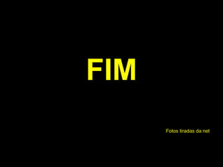 FIM Fotos tiradas da net 