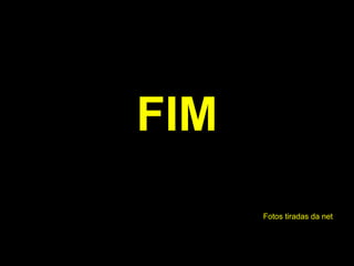 FIM
      Fotos tiradas da net
 