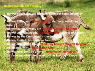A View From A Donkey | PPTX