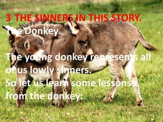 A View From A Donkey | PPTX